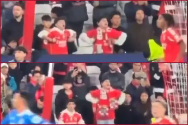 هواداران بنفیکا