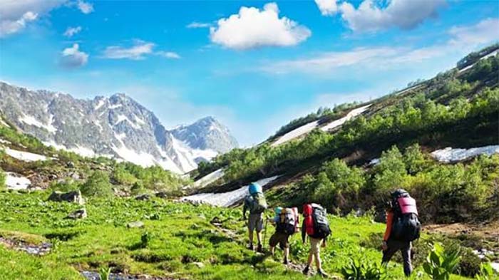  از زمین مسابقه تا رشد بدن؛ بررسی قوانین ورزشی و اثر ورزش بر آینده انسان