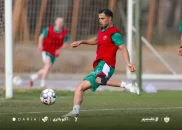 علی علیپور با ۹۶ گل دومین گلزن تاریخ پرسپولیس است