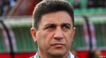 امیر قلعهنویی