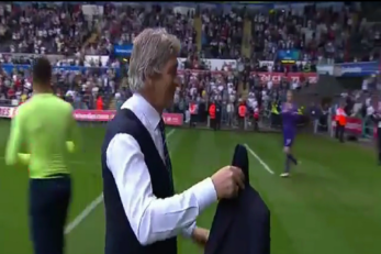 مانوئل پیگرنی