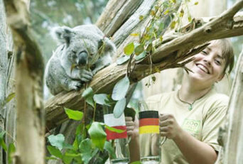 پیش‌بینی حیوانات از برنده بازی آلمان - لهستان