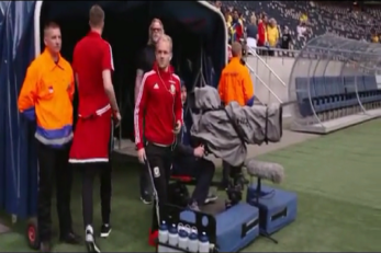 تیم ملی ولز