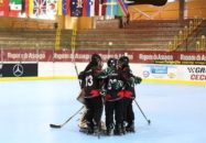 تیم اسکیت هاکی ایران