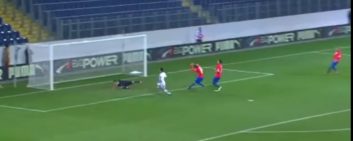 گل فوق العاده