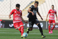 هافبک سیاه جامگان