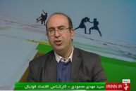 مهدی محمودی