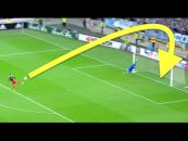 گل های استثنایی