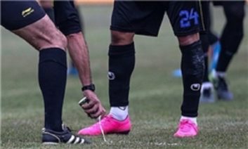 داور لیگ برتر پانزدهم