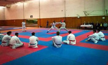 تیم ملی کاراته