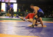 تیم ملی کشتی فرنگی ایران