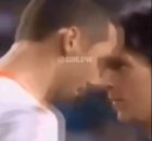 شاخ به شاخ شدن