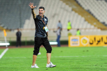 داوود فنایی