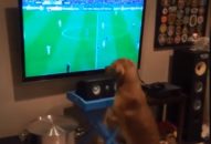 عاشق فوتبال