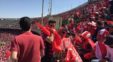 هواداران پرسپولیس - شاهین حاج بابایی - پرسپوليس