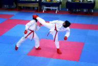 هنرهای رزمی