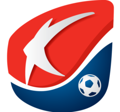 تیم کره‌ ای