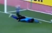 دروازه بانی