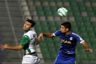 دیوید ساکونی