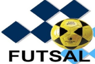 لیگ برتر فوتسال