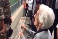 هوادار فوتبال