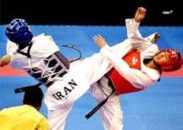 هوگوپوشان نوجوان