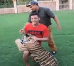 مسعوت اوزیل