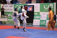 لیگ برتر تکواندو -