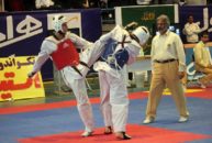 وحید عبداللهی