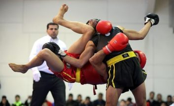 جام جهانی ووشو