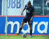 گل های تحقیر کننده