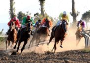 مسابقات سوارکاری