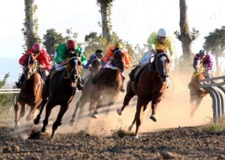 مسابقات سوارکاری