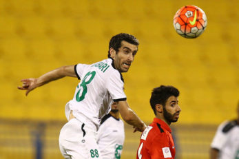 مجتبی جباری