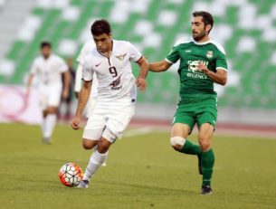 مجتبی جباری