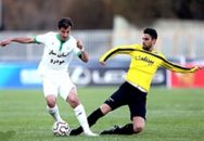 امیرحسین شریفیان پور