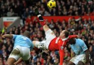 گل های آکروباتیک