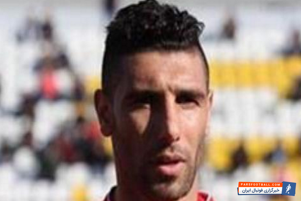 هادي تأميني