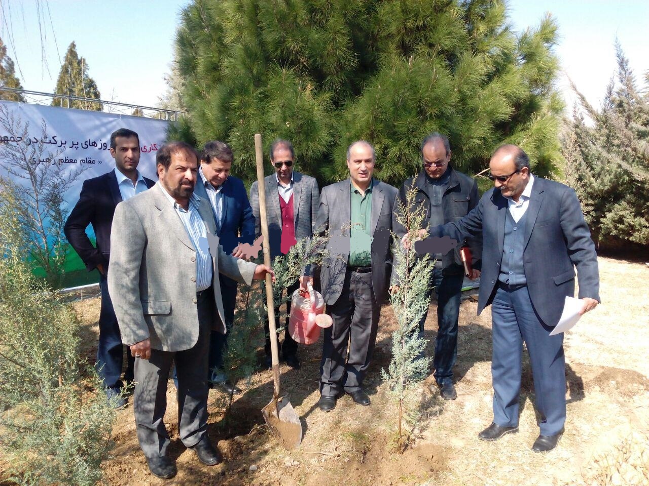 مهدی تاج