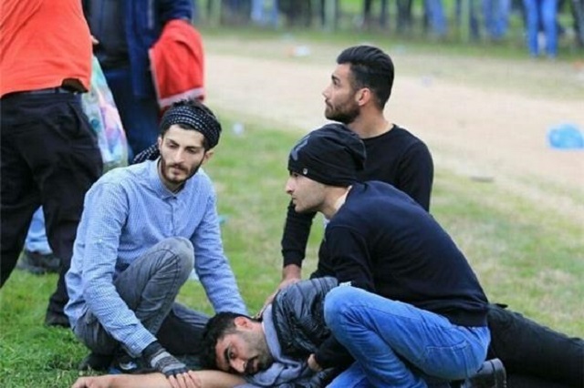 هوادار نساجی