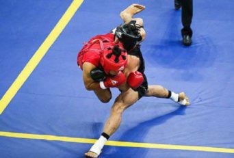 ووشو - مهدی علی‌نژاد