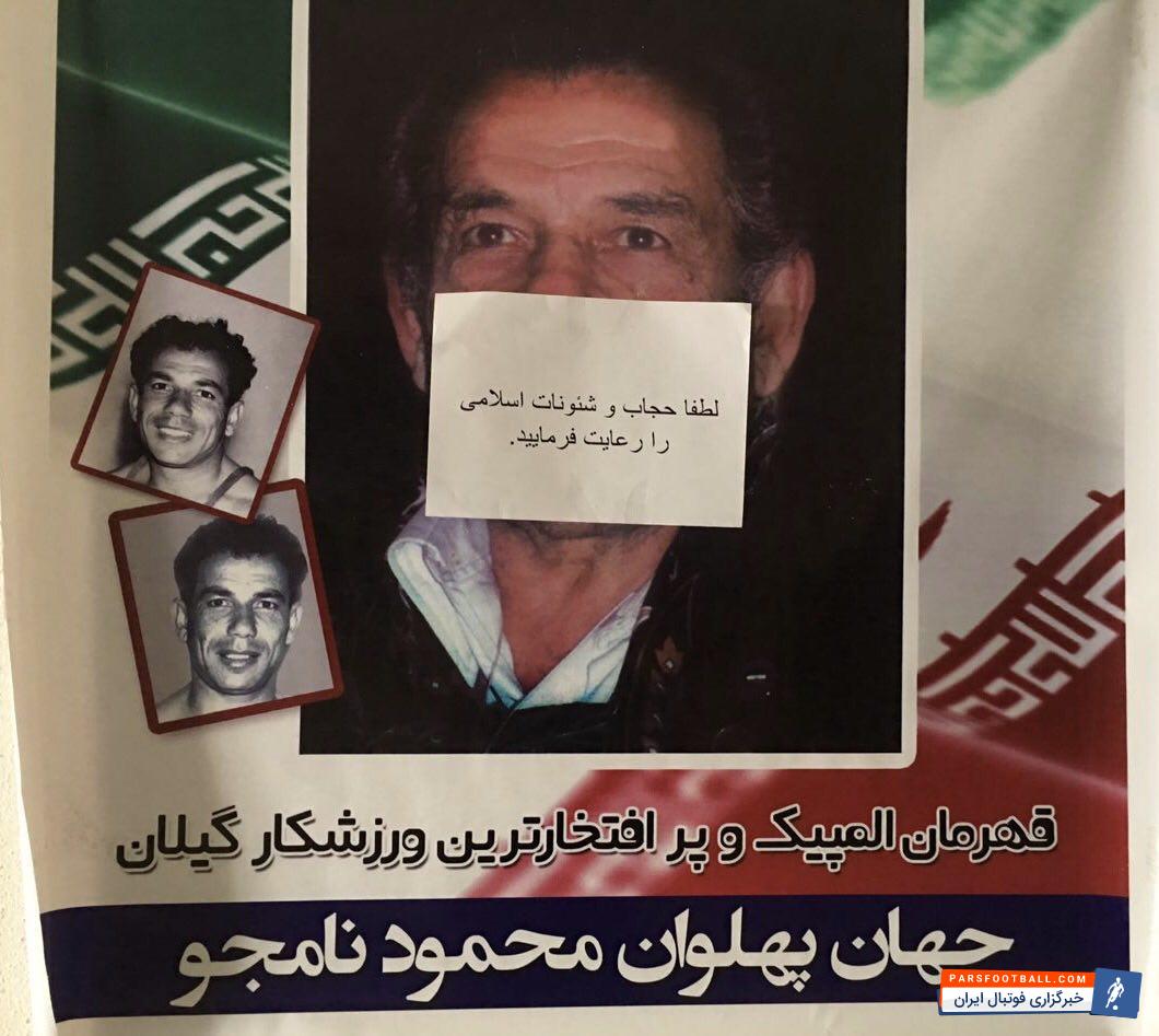 محمود نامجو