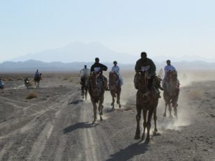برگزاری مسابقات شتر سواری در شهرستان دلگان