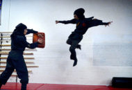 فستیوال بانوان نینجا