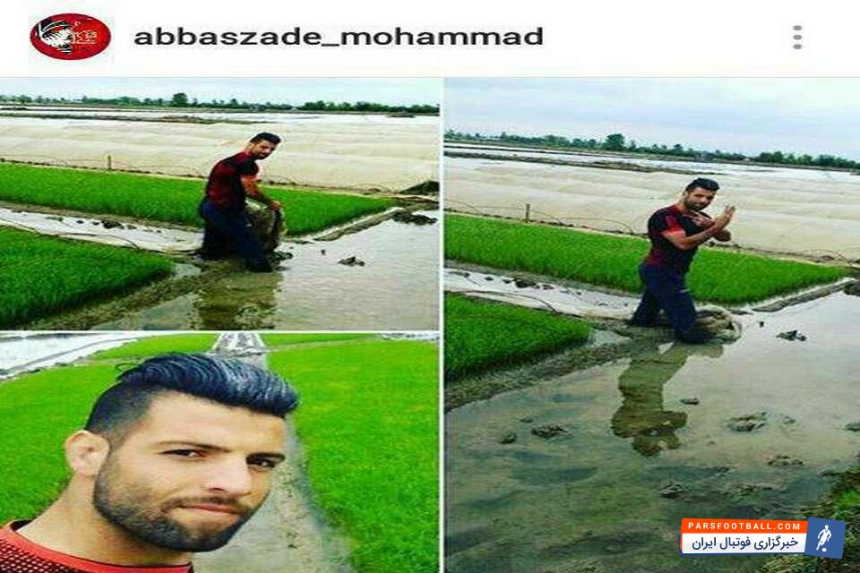 محمد عباسزاده