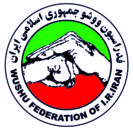 فدراسیون ووشو