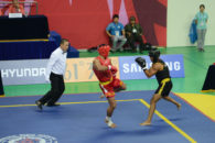 مسابقات بین المللی ووشوی جام پارس نتایج ووشوکاران