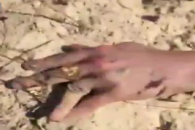 مسابقه دوچرخه سواری