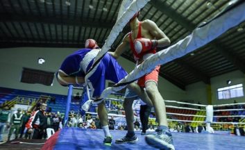 همایون امیری