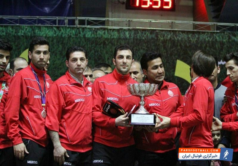 فرزین دبیری